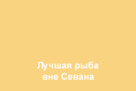 Image is loading