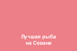 Image is loading