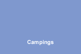 Image is loading